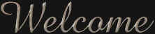 Welcome to Alion web site 